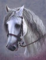 horse-painting.jpg
