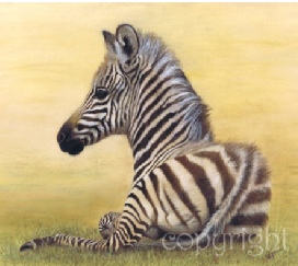 zebra wildlife print
